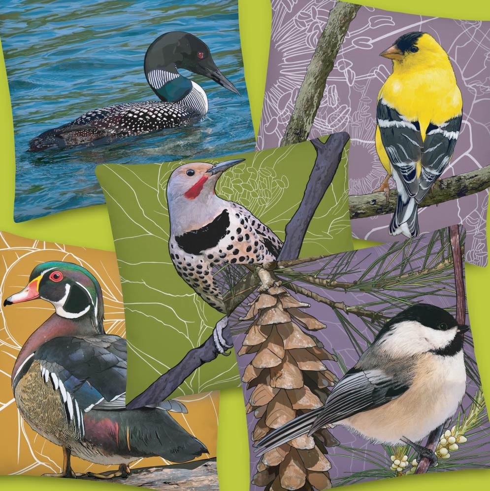 State Bird Pillows