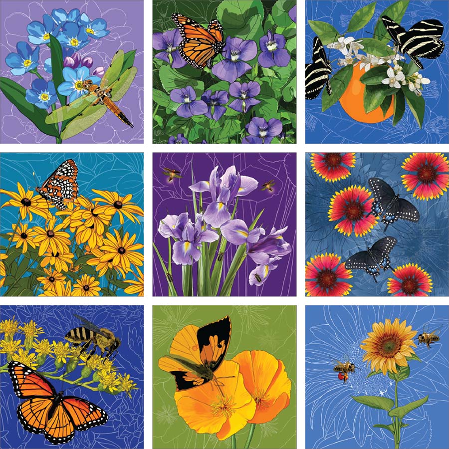 State Flowers + Insects