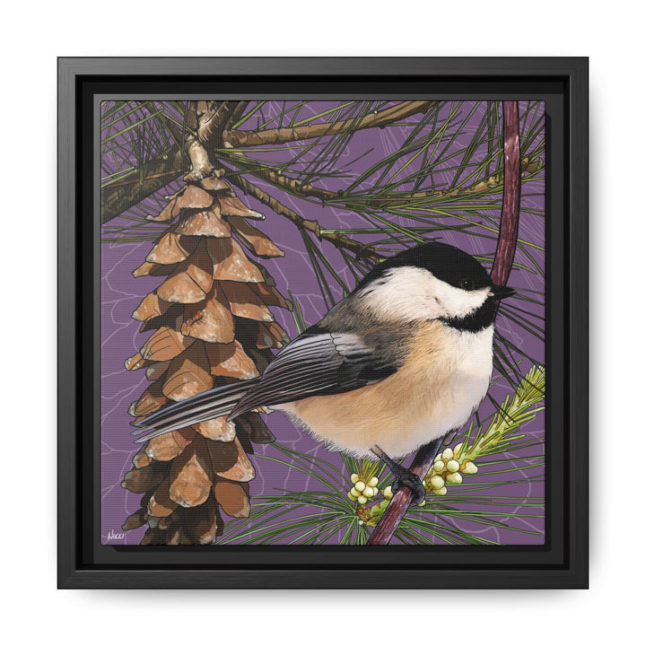 Black-capped Chickadee: Maine State Bird — Framed Canvas Print