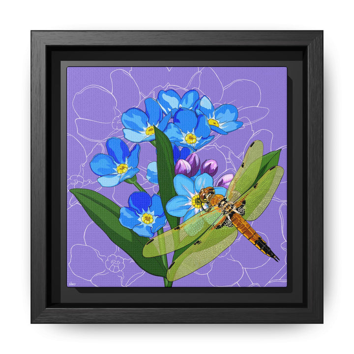 Alaska State Flower + Insect: Forget Me Not + Four-spot Skimmer Dragonfly — Framed Canvas Print Wall Art