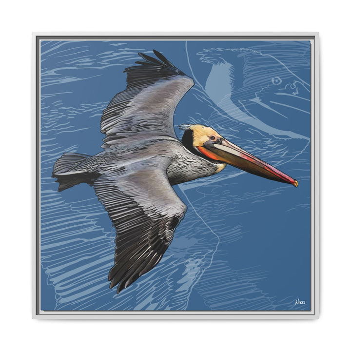 Brown Pelican: Louisiana State Bird  —  Framed Canvas Print