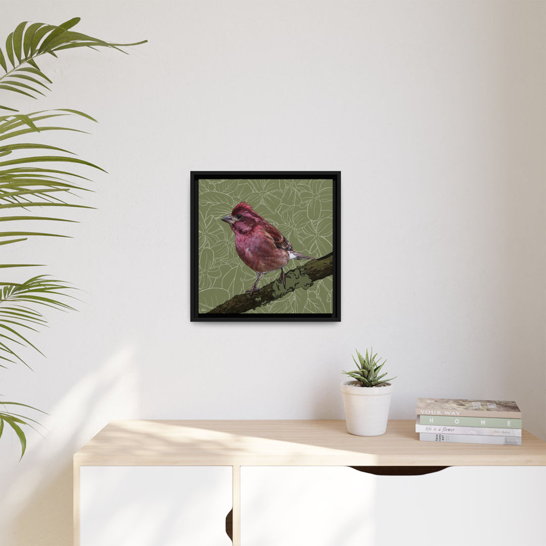 Purple Finch: New Hampshire State Bird — Framed Canvas Print Wall Art