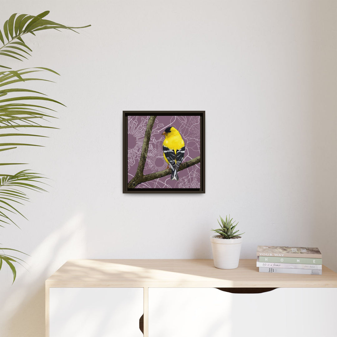 Goldfinch: Washington State Bird — Framed Canvas Print Wall Art