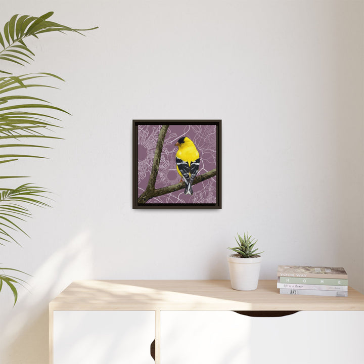 Goldfinch: Washington State Bird — Framed Canvas Print Wall Art