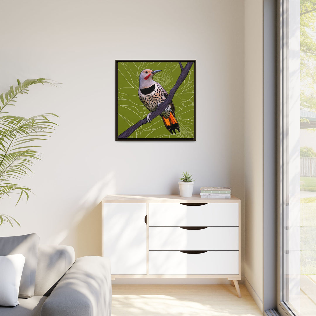 Northern Flicker (Yellowhammer): Alabama State Bird: — Framed Canvas Print Wall Art