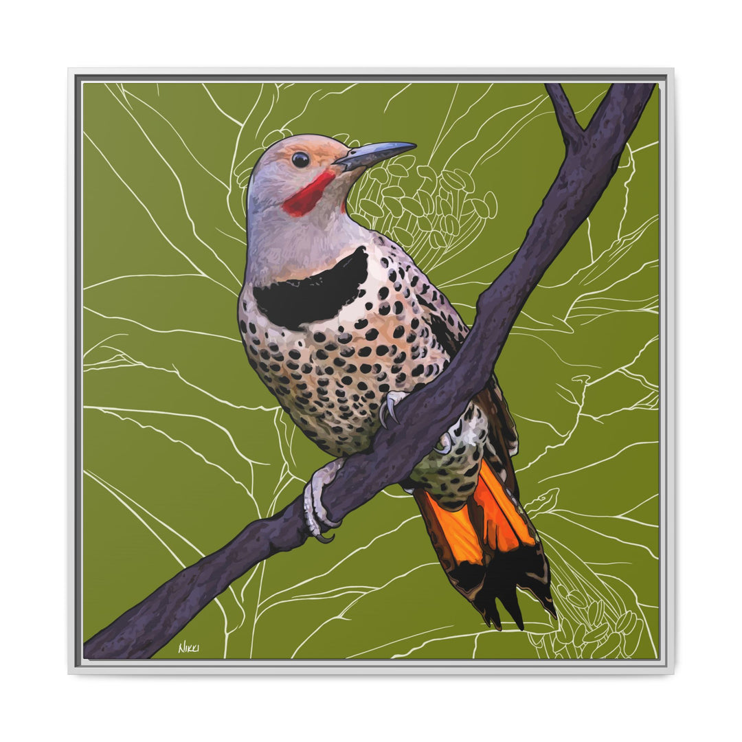 Northern Flicker (Yellowhammer): Alabama State Bird: — Framed Canvas Print Wall Art