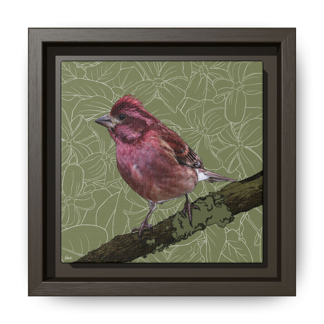 Purple Finch: New Hampshire State Bird — Framed Canvas Print Wall Art