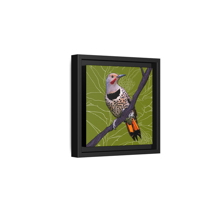 Northern Flicker (Yellowhammer): Alabama State Bird: — Framed Canvas Print Wall Art