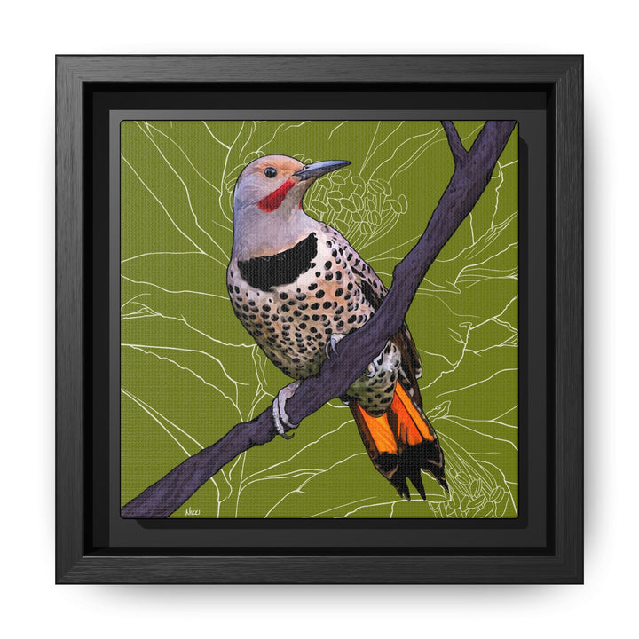 Northern Flicker (Yellowhammer): Alabama State Bird: — Framed Canvas Print Wall Art