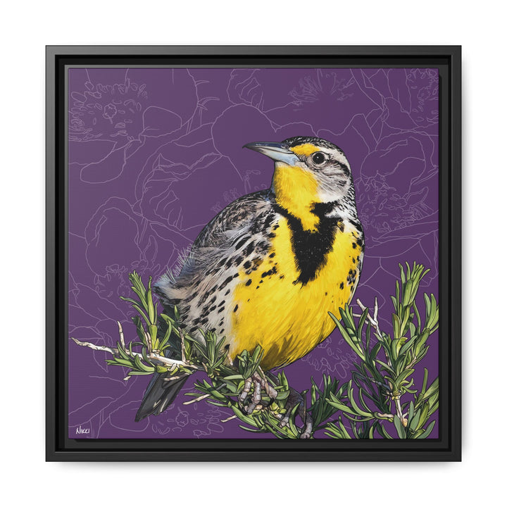 Western Meadowlark: North Dakota State Bird — Framed Canvas Print