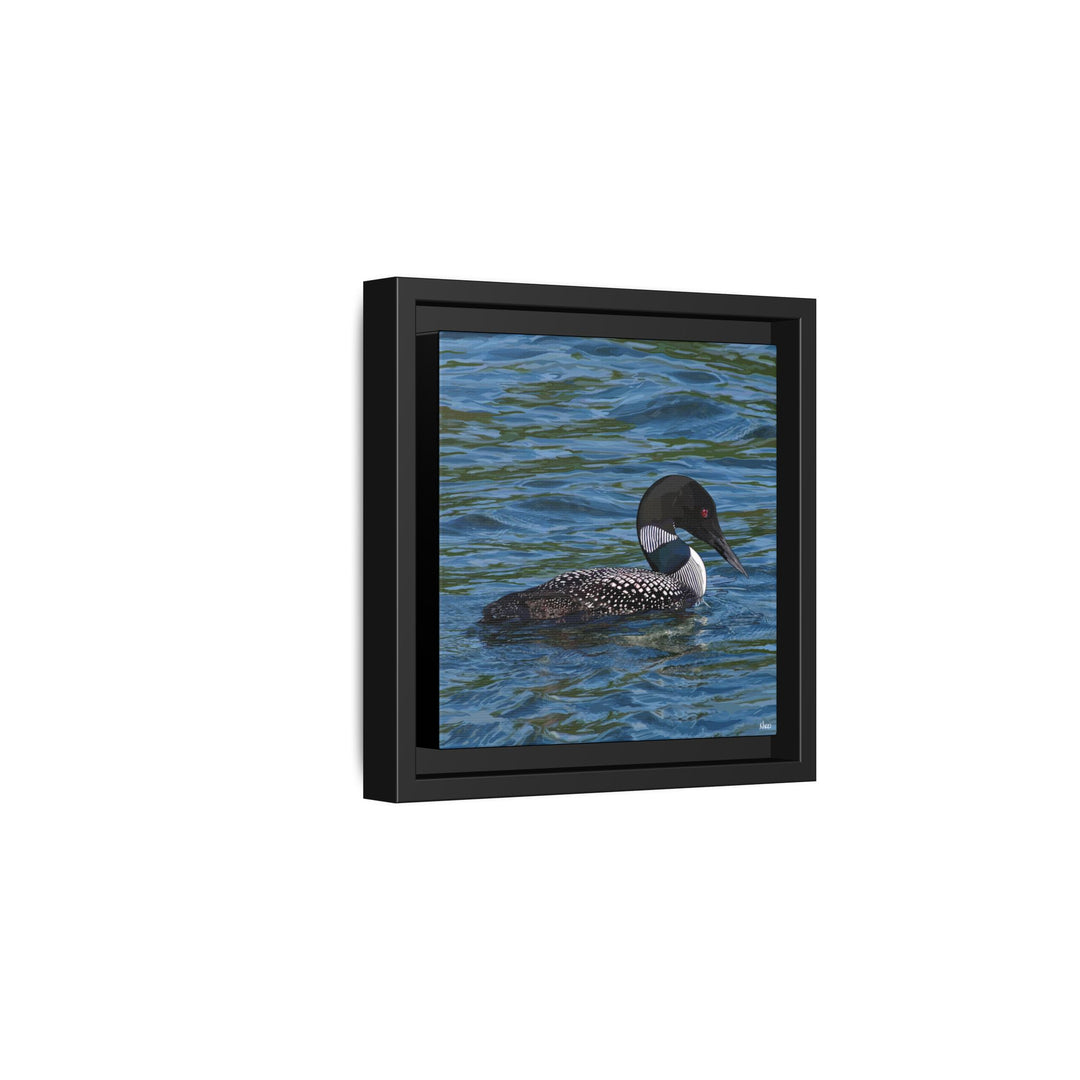 Common Loon: Minnesota State Bird — Framed Canvas Print Wall Art