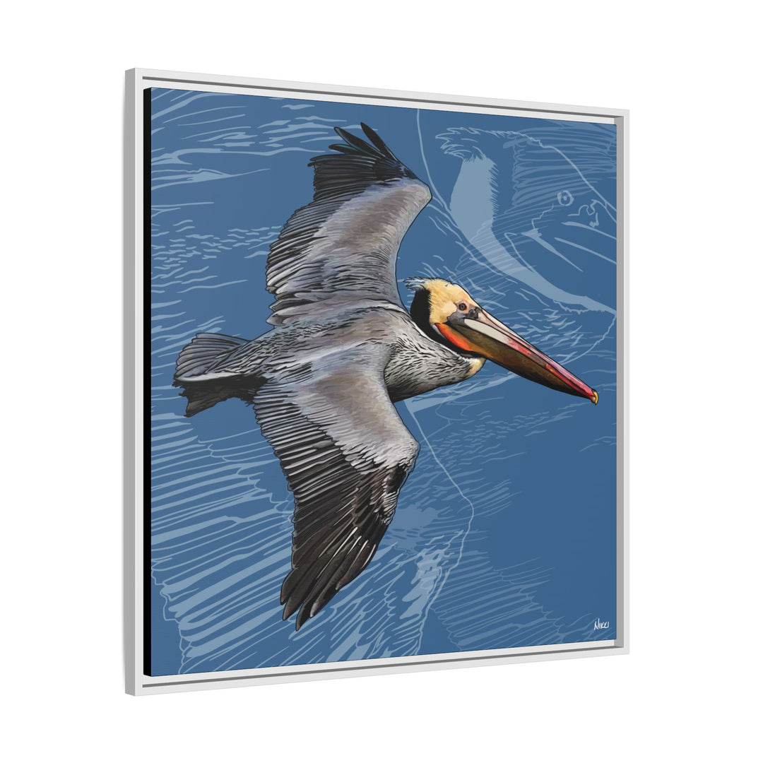 Brown Pelican: Louisiana State Bird  —  Framed Canvas Print
