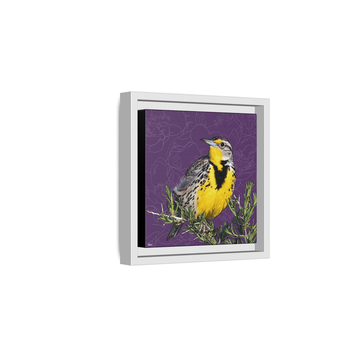 Western Meadowlark: North Dakota State Bird — Framed Canvas Print