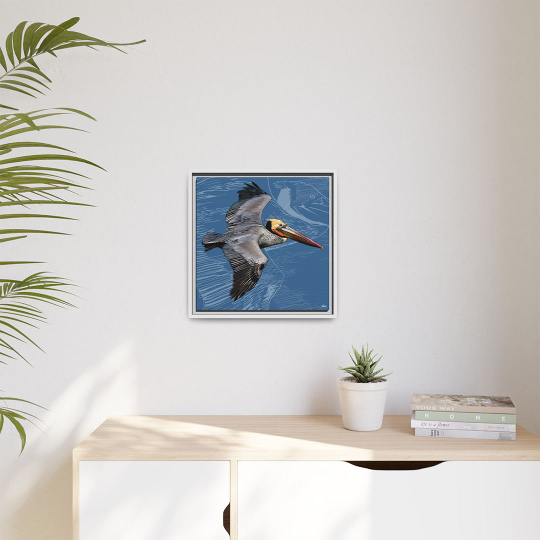 Brown Pelican: Louisiana State Bird  —  Framed Canvas Print