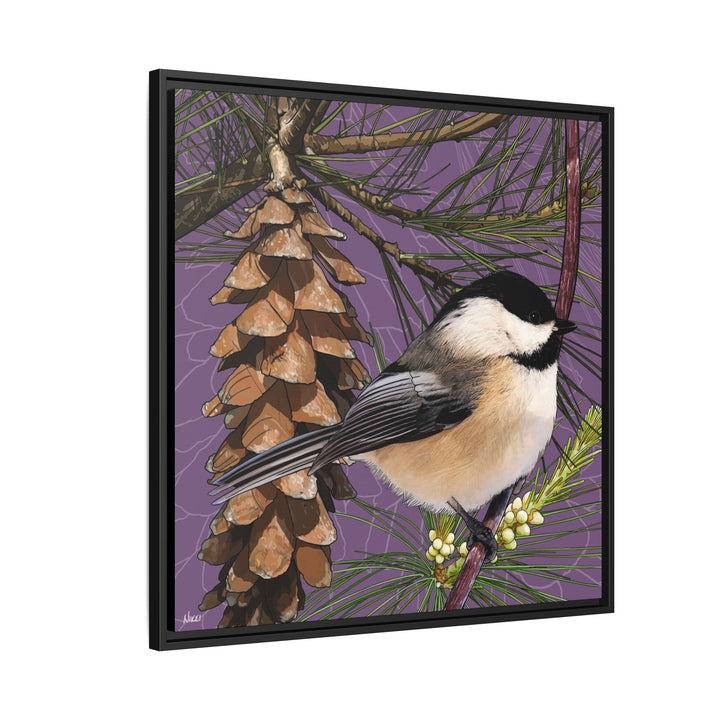 Black-capped Chickadee: Maine State Bird — Framed Canvas Print