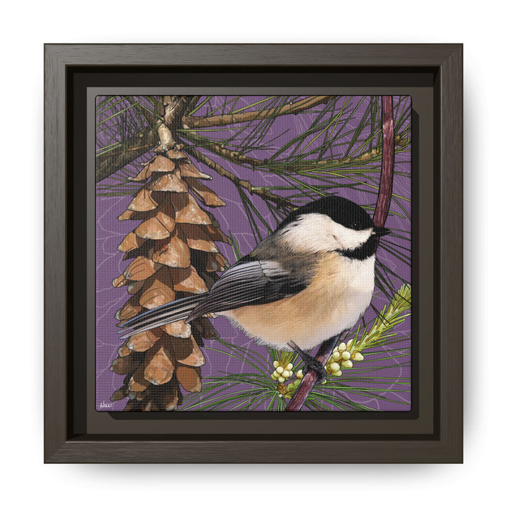 Black-capped Chickadee: Maine State Bird — Framed Canvas Print