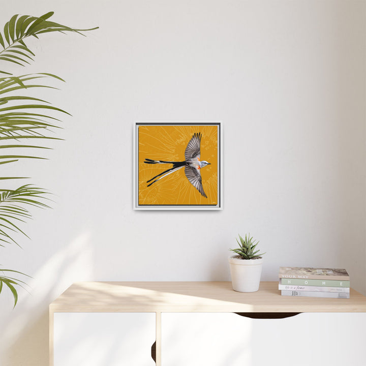 Scissor Tailed Flycatcher: Oklahoma State Bird — Framed Canvas Print Wall Art