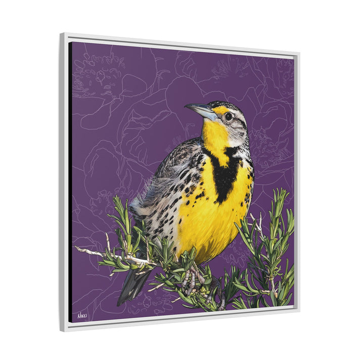 Western Meadowlark: North Dakota State Bird — Framed Canvas Print