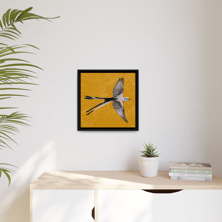 Scissor Tailed Flycatcher: Oklahoma State Bird — Framed Canvas Print Wall Art