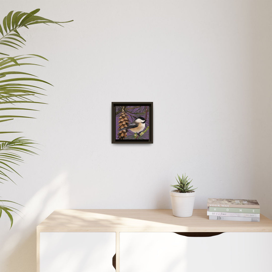 Black-capped Chickadee: Maine State Bird — Framed Canvas Print