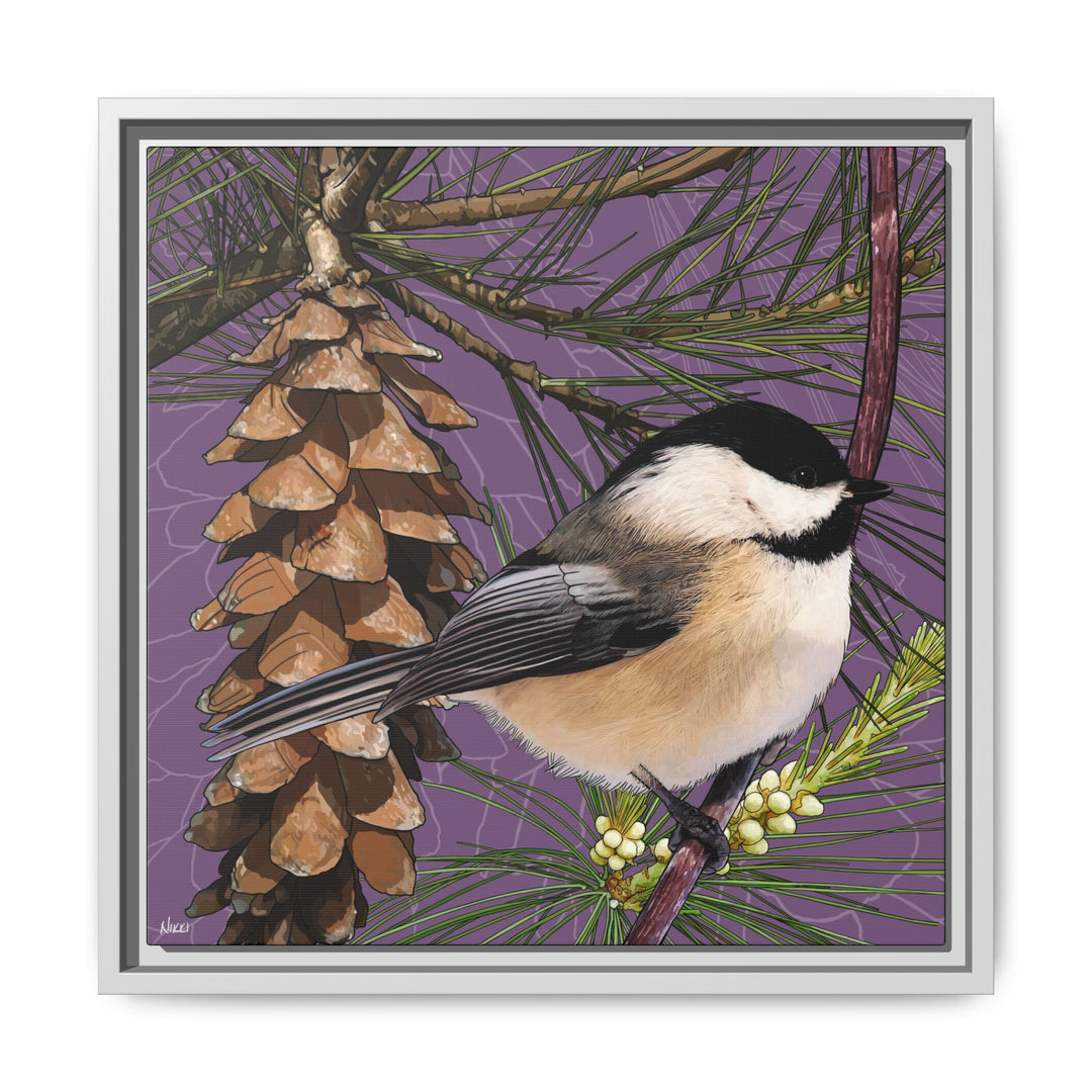 Black-capped Chickadee: Maine State Bird — Framed Canvas Print