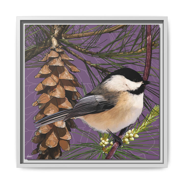 Black-capped Chickadee: Maine State Bird — Framed Canvas Print