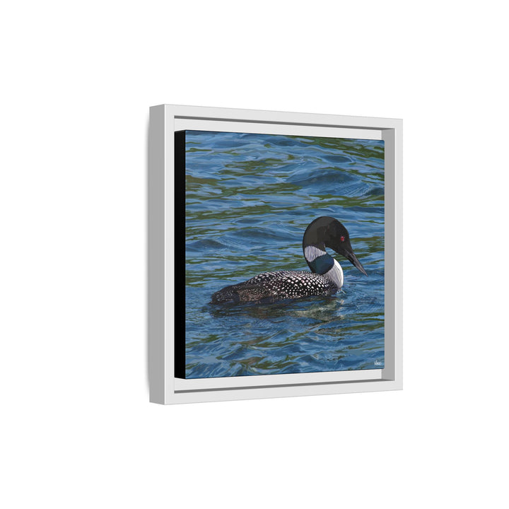 Common Loon: Minnesota State Bird — Framed Canvas Print Wall Art