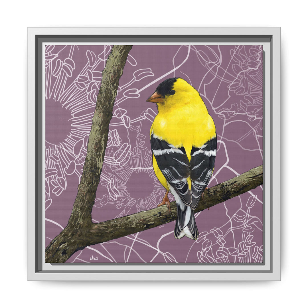 Goldfinch: Washington State Bird — Framed Canvas Print Wall Art
