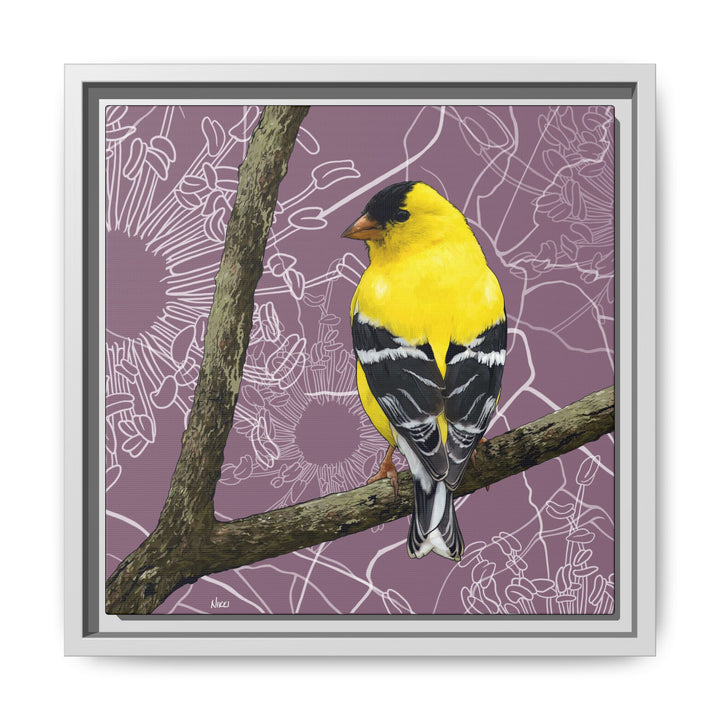 Goldfinch: Washington State Bird — Framed Canvas Print Wall Art