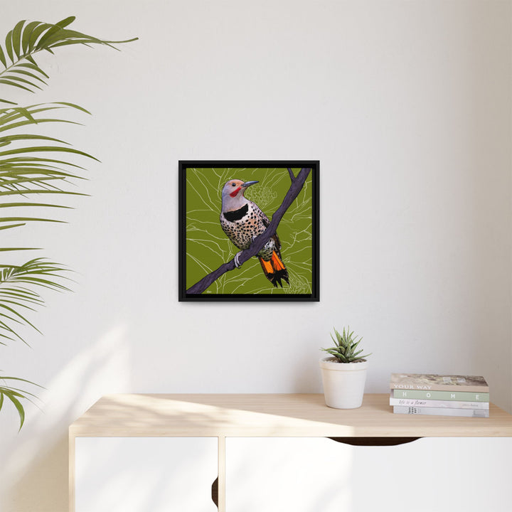Northern Flicker (Yellowhammer): Alabama State Bird: — Framed Canvas Print Wall Art