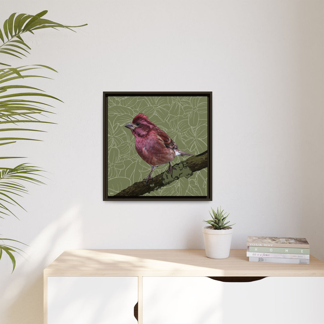 Purple Finch: New Hampshire State Bird — Framed Canvas Print Wall Art