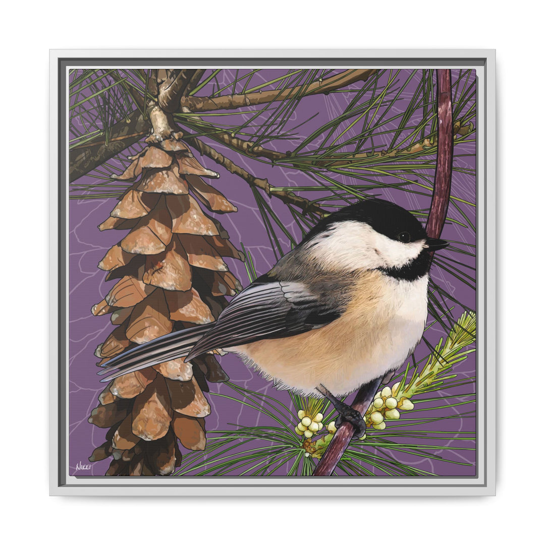 Black-capped Chickadee: Maine State Bird — Framed Canvas Print