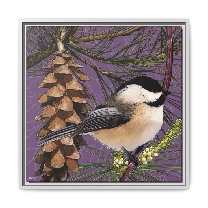 Black-capped Chickadee: Maine State Bird — Framed Canvas Print