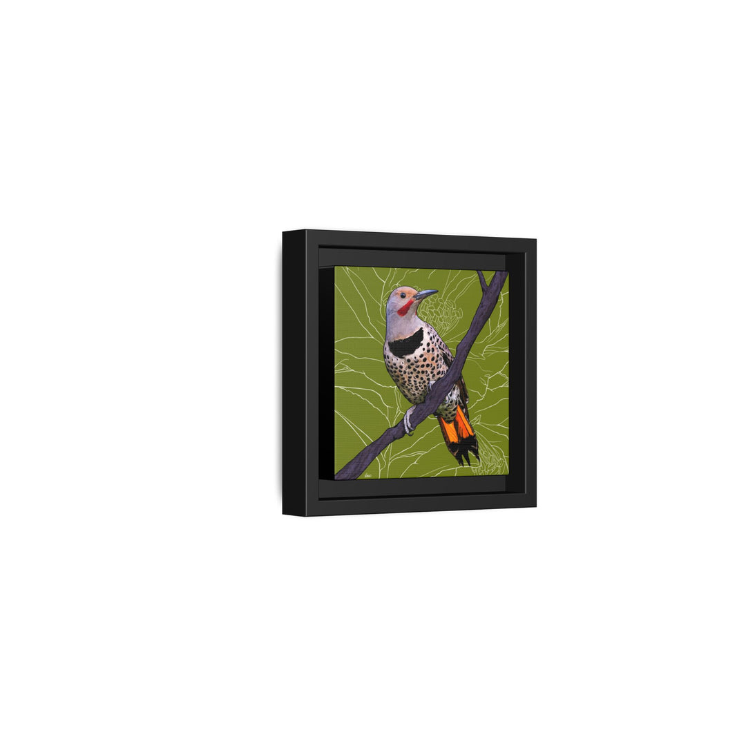 Northern Flicker (Yellowhammer): Alabama State Bird: — Framed Canvas Print Wall Art