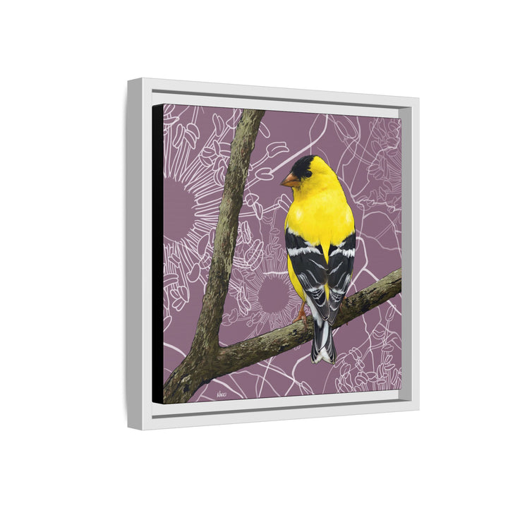 Goldfinch: Washington State Bird — Framed Canvas Print Wall Art
