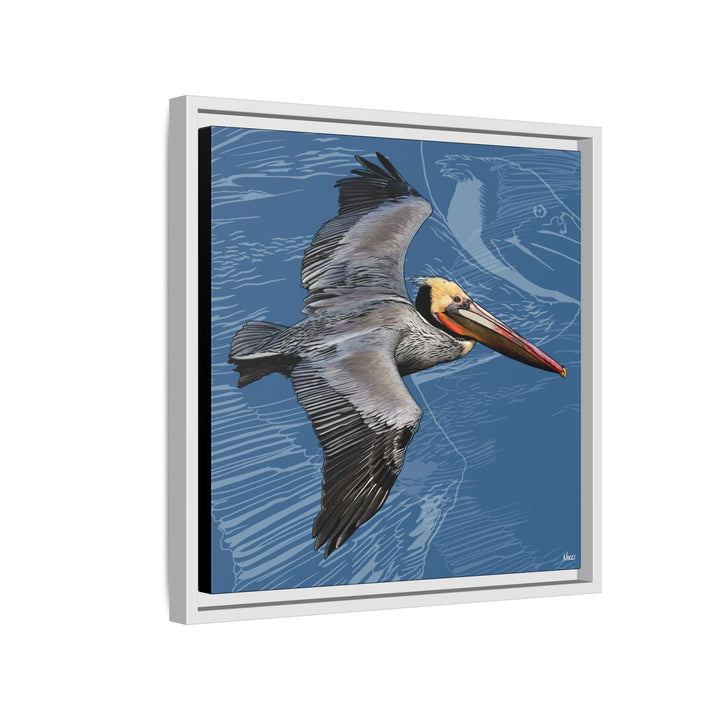 Brown Pelican: Louisiana State Bird  —  Framed Canvas Print
