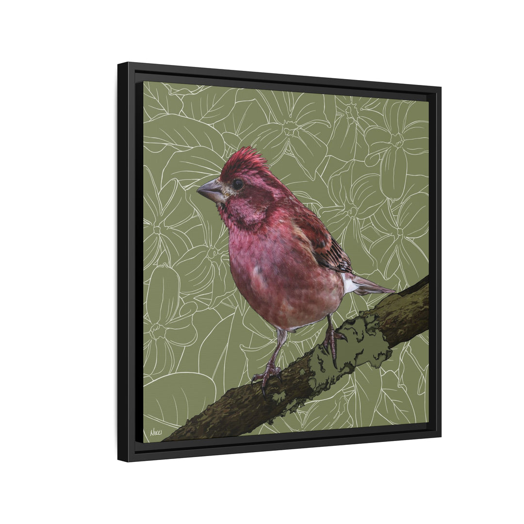Purple Finch: New Hampshire State Bird — Framed Canvas Print Wall Art