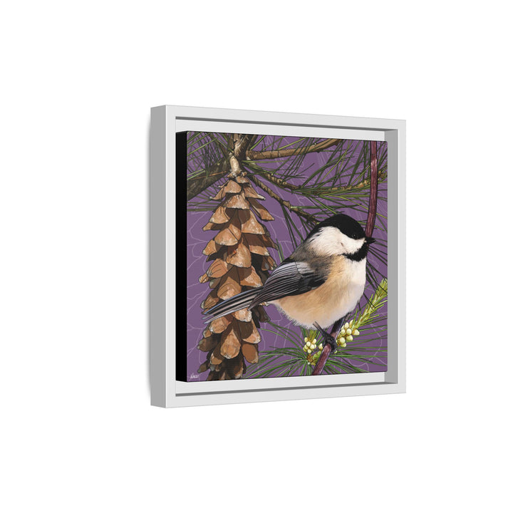 Black-capped Chickadee: Maine State Bird — Framed Canvas Print