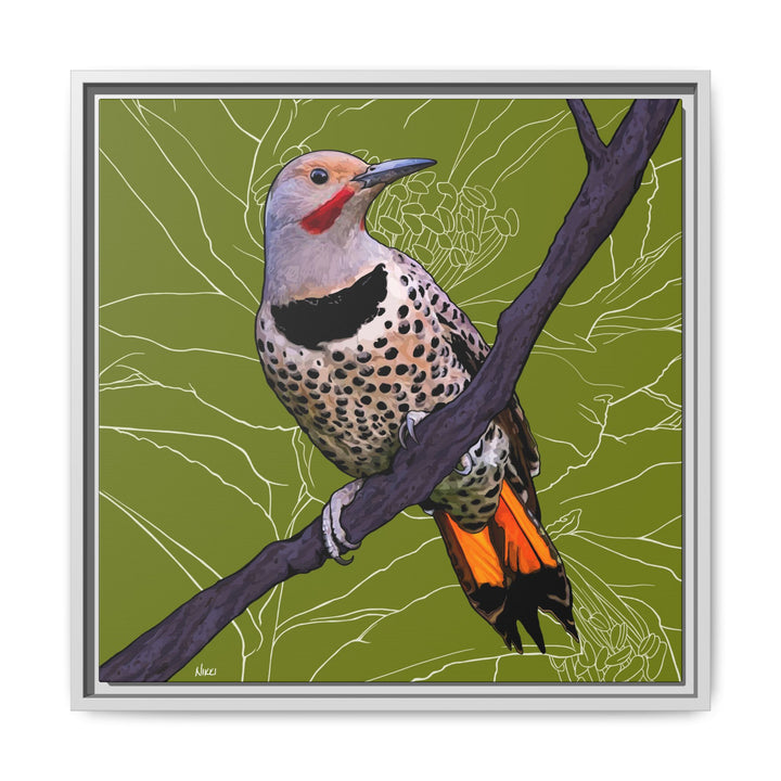 Northern Flicker (Yellowhammer): Alabama State Bird: — Framed Canvas Print Wall Art