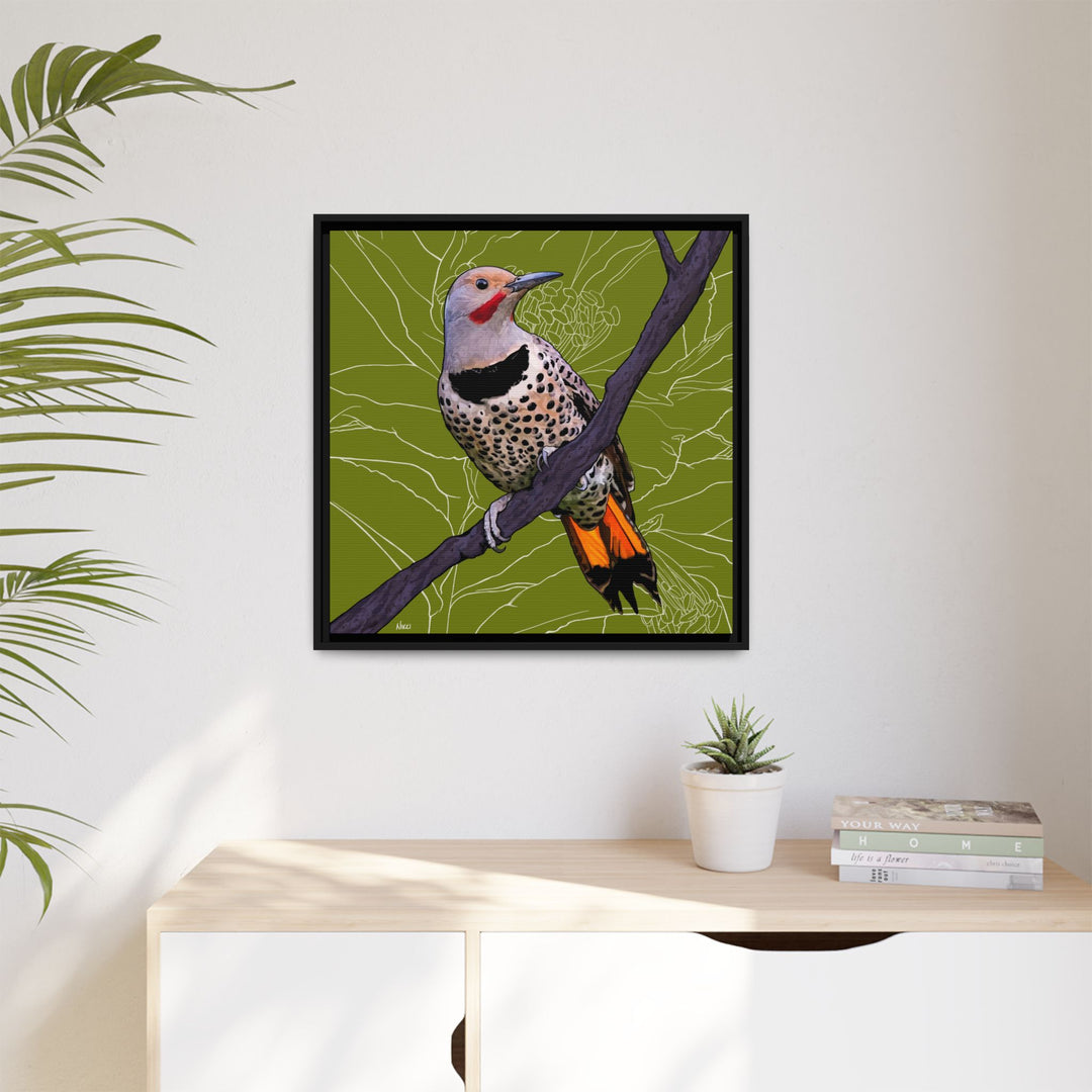 Northern Flicker (Yellowhammer): Alabama State Bird: — Framed Canvas Print Wall Art