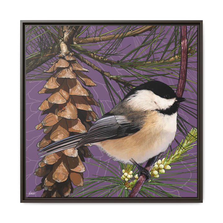 Black-capped Chickadee: Maine State Bird — Framed Canvas Print