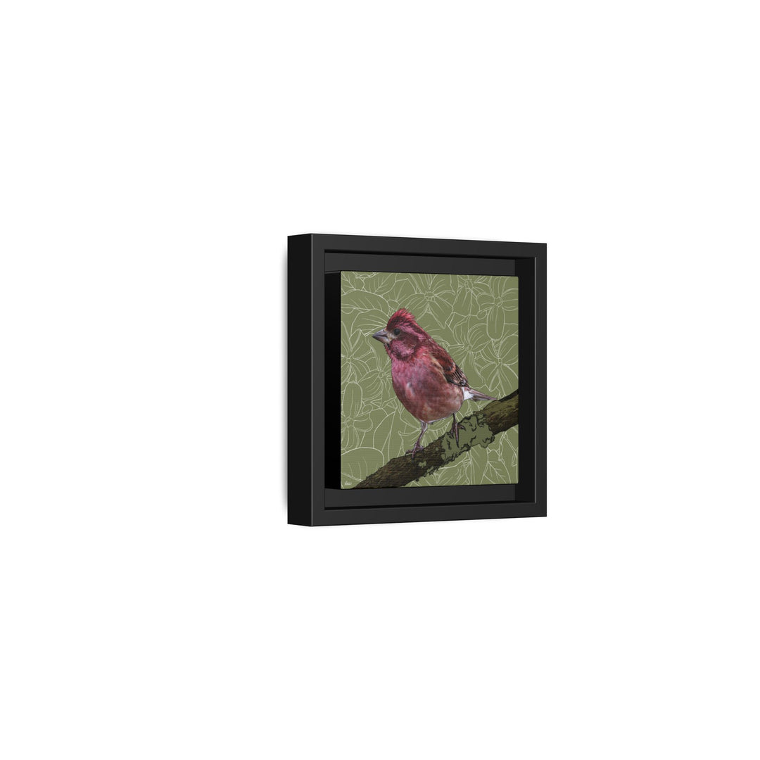 Purple Finch: New Hampshire State Bird — Framed Canvas Print Wall Art