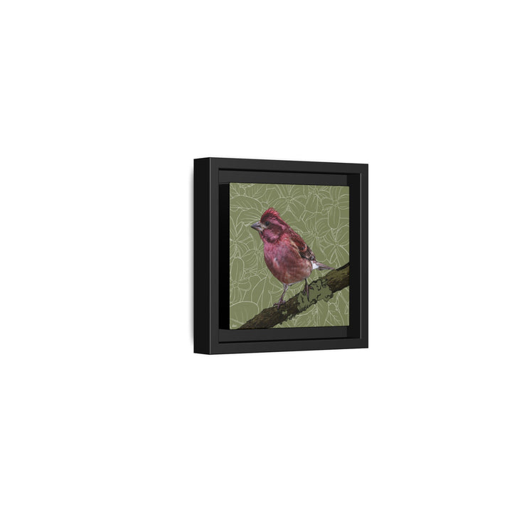 Purple Finch: New Hampshire State Bird — Framed Canvas Print Wall Art