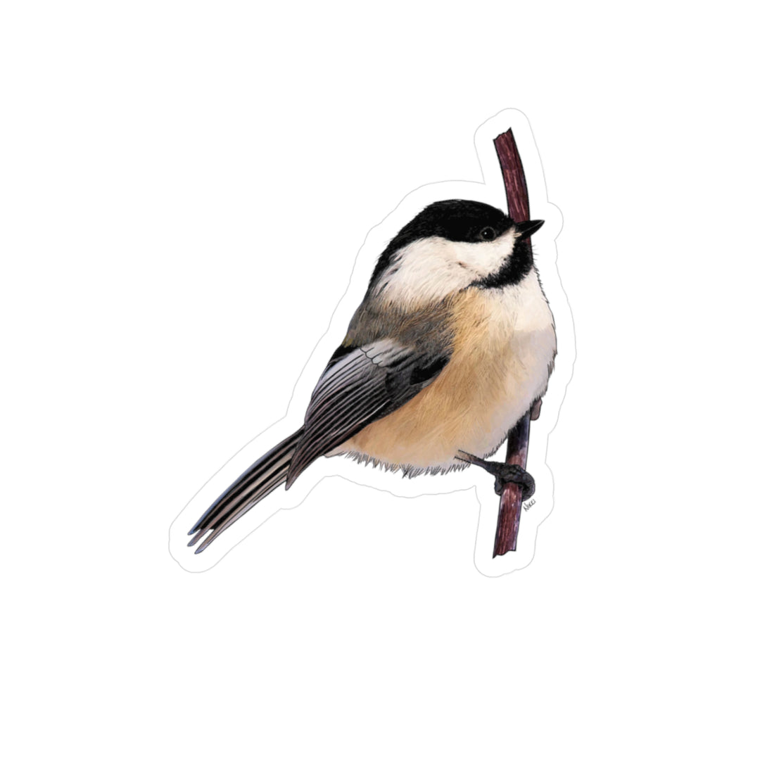 Chickadee Vinyl Sticker – Realistic Bird Kiss-Cut Decal for Laptops, Water Bottles & Windows
