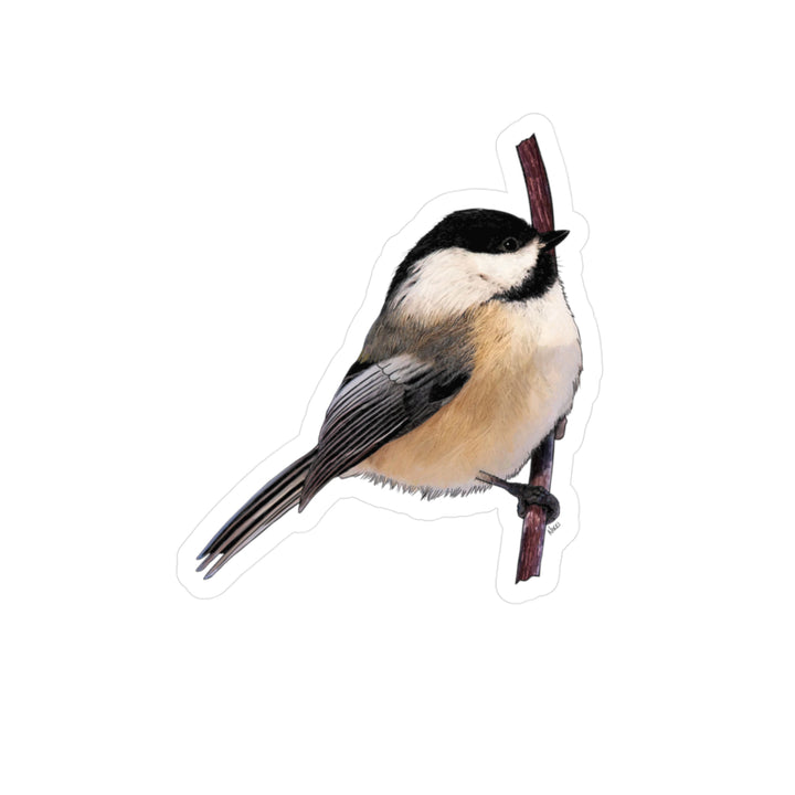 Chickadee Vinyl Sticker – Realistic Bird Kiss-Cut Decal for Laptops, Water Bottles & Windows