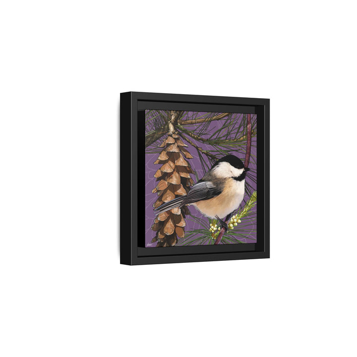 Black-capped Chickadee: Maine State Bird — Framed Canvas Print