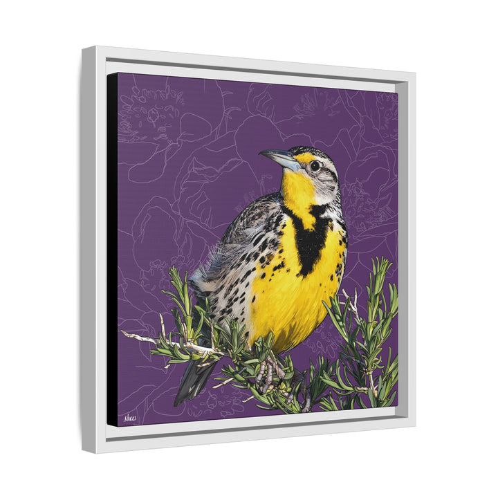 Western Meadowlark: North Dakota State Bird — Framed Canvas Print