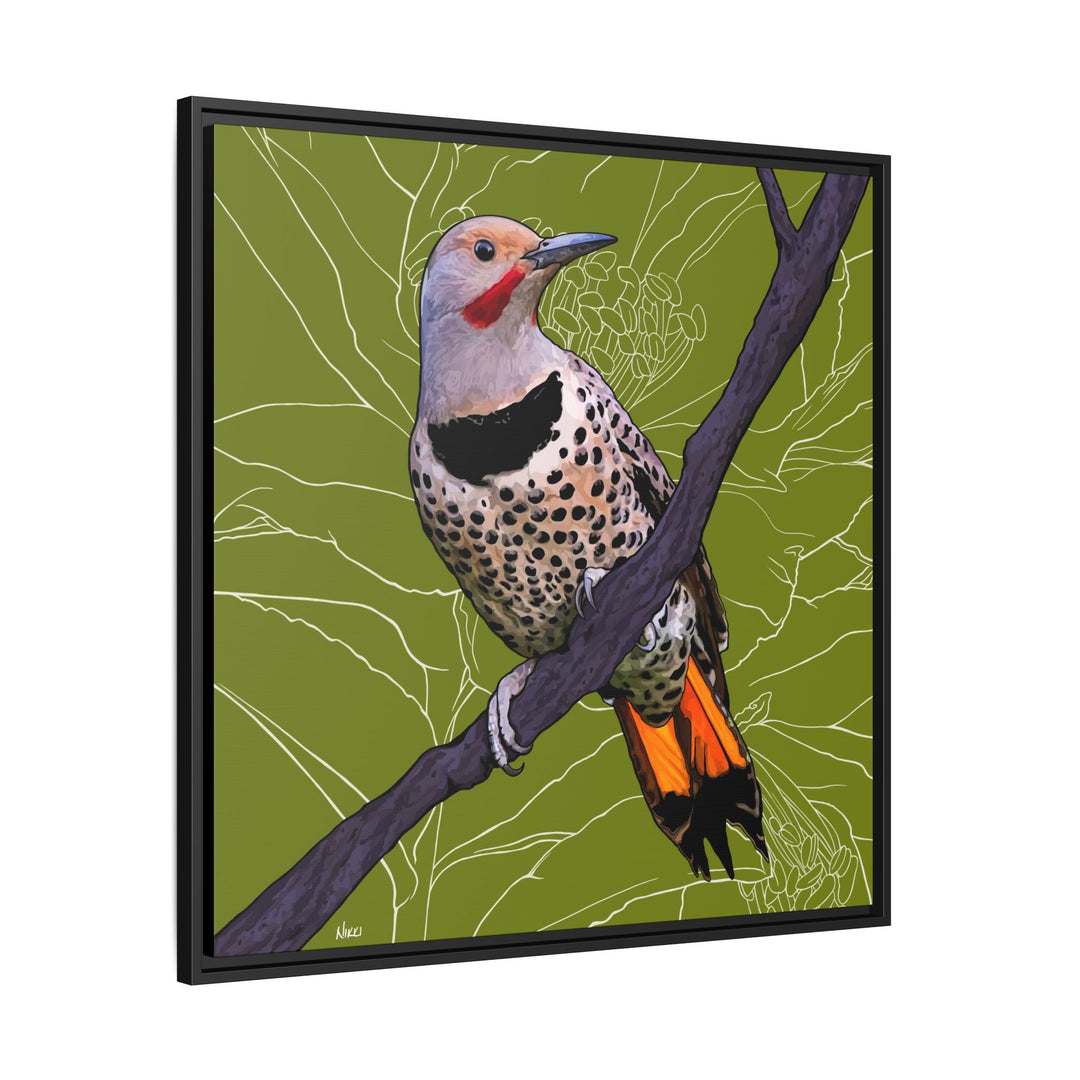 Northern Flicker (Yellowhammer): Alabama State Bird: — Framed Canvas Print Wall Art