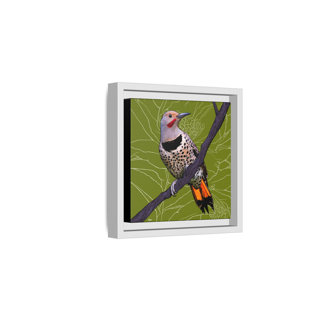Northern Flicker (Yellowhammer): Alabama State Bird: — Framed Canvas Print Wall Art