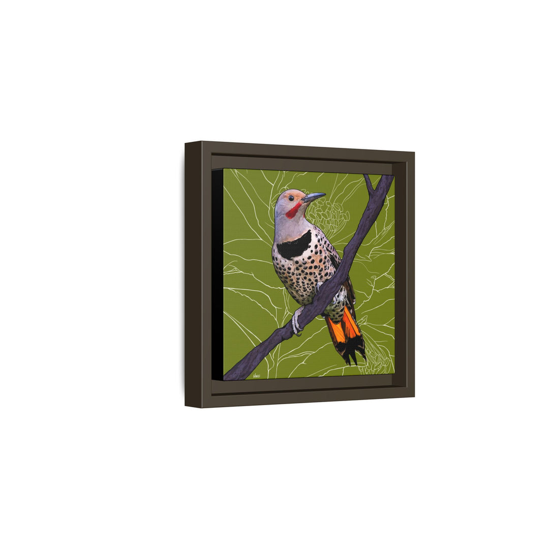 Northern Flicker (Yellowhammer): Alabama State Bird: — Framed Canvas Print Wall Art